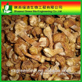 High Quality Natural Agaricus Extract Agaricus Blazei Extract